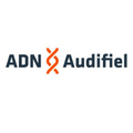 Audifiel Auditoría de Cuentas